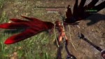 The Elder Scrolls Online Tamriel Unlimited - Harpy Moan