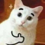 14939711668560
