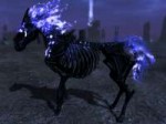 arvak.jpg