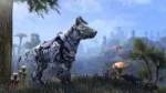 vitrinedwarvenwolf.jpg
