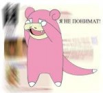  .jpg