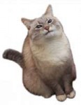 .png