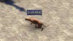 lGYOkQF6qNQ.jpg