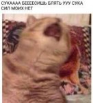 14937922625870.jpg