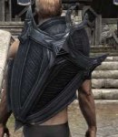 Soul-Shriven-Shield.png