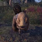 BittergreentheWild.png