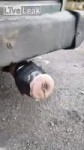 1513120923001.webm