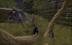 Elder Scrolls Online 07.01.2018 225318.png