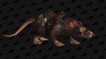 ratstallion.jpg