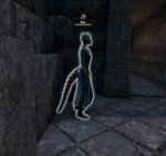 Elder Scrolls  Online Screenshot 2018.01.13 - 23.44.20.25.png