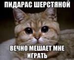 pidrila-ebanaya42207996orig.jpeg
