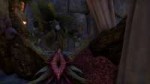 Screenshot20180121120315.jpg