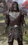 eso-inventors-guard-male-4-1.jpg