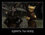 Skyrim-The-Elder-Scrolls-фэндомы-Каджит-1151588.jpeg