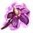 48px-ON-icon-reagent-Nightshade.png