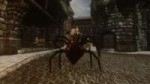 Elder Scrolls IV  Oblivion Screenshot 2018.07.01 - 11.47.20[...].jpg