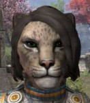 Adorable-Assassin-Khajiit-Front.jpg