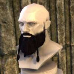 ON-facialhair-TheHrothgarHermit.jpg