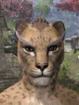 Feather-Brows-of-Mystery-Khajiit-Female-Front.jpg