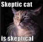 skeptic cat 2.jpg