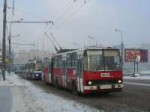 MoscowtrolleybusIkarus-280T0049(17610836675).jpg