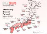 cheapo-sakura-map.png
