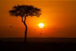 sunrise-in-maasai-mara-national-reserve-kenyal.jpeg