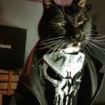 punisher-catsle.jpg