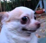 image.jpeg