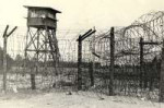 774375-1.jpg