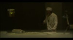 дятл 3.mp4