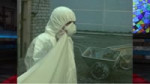 про флаг-dvach-tv-2497540.webm