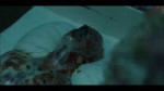 2.webm