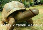 15718357817940.jpg