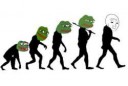 1459340429126180690.jpg