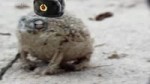 Angry Squeaking Gopnik.webm