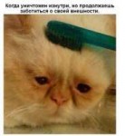 15074055635020.jpg