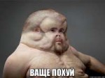 a5nrk7.jpg