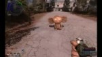 videoplayback.webm