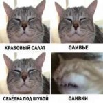 мемы15.jpg