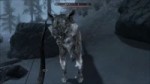 skyrim wolfes.webm