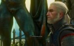 witcher3 2016-06-16 19-43-16-451.webm