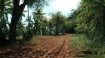 Crysis Screenshot 2018.07.29 - 00.30.15.58.jpg