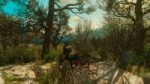 The Witcher 3 Super-Resolution 2018.08.10 - 12.30.17.77.jpg