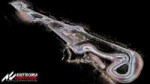 assetto-corsa-competizione-track.jpg