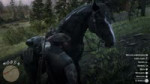 Red Dead Redemption 220181123235301.webm