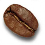 coffeebeansPNG9283.png