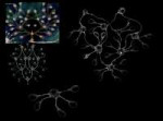 Void21.jpg