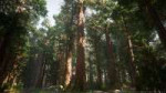 MAWIRedwoodForestPackV2Screenshot0017-1920x1080-7d33de8fabb[...].jpg