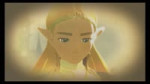 Linkle BotW.mp4